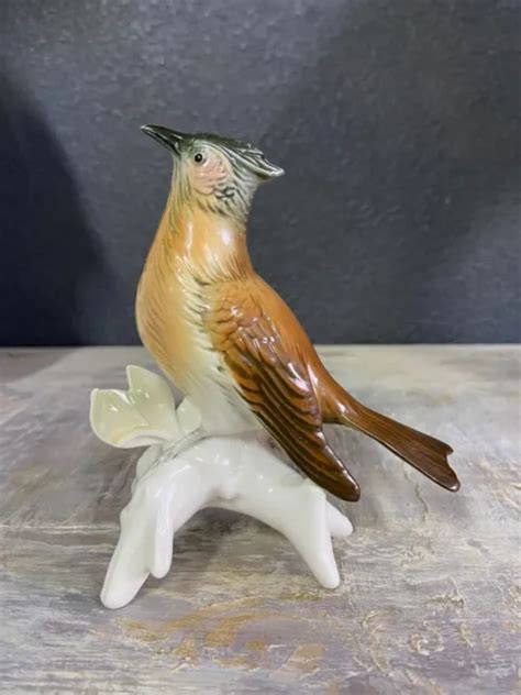 Ancien Oiseau En Porcelaine De Saxe Karl Ens Avant Eur