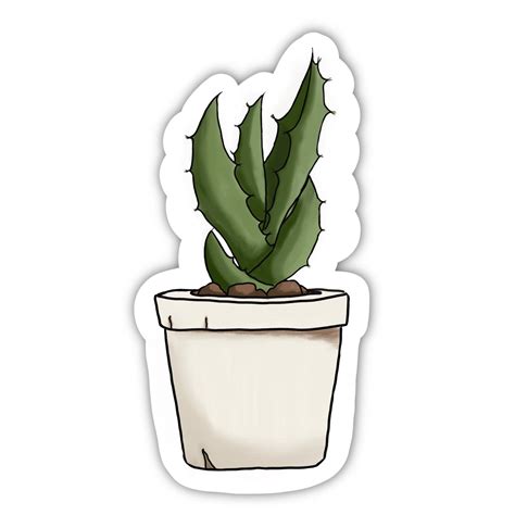 Tall Potted Succulent Plant Vinyl Sticker Print Stickers Beautiful