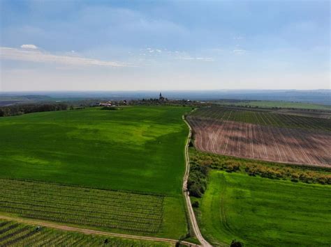 Morawy Południowe Winne szlaki w Czechach Wszędobylscy