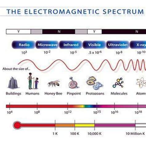 1 A Depiction Of The Microwave Frequency Range As It Falls In The