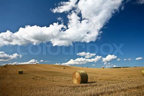 Naturen i det sydlige Sverige i Skåne markerne efter høst Stock