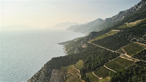 The Peljesac Peninsula’s Best Food and Wine | Virtuoso