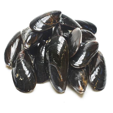 Prince Edward Island Mussels Pine Tree Seafood