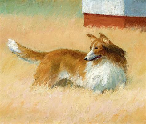 Rough Collie Art Atelier Yuwaciaojp