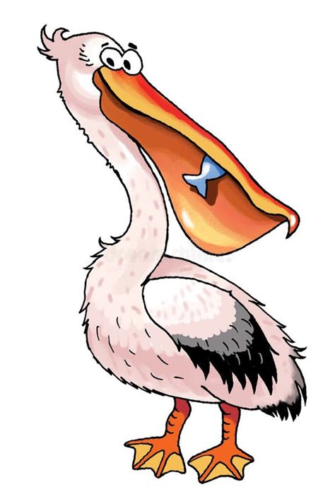 Pelican Bird Cartoon Funny Picture Plumage Stock Illustration ...