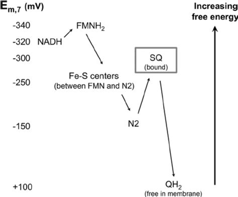 Reduction Potentials Of Complex I Redox Chemistry Values For NADH