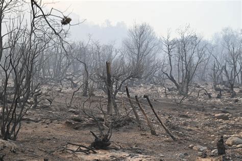 El fuego en Los Alerces sigue activo y cada vez son más las hectáreas