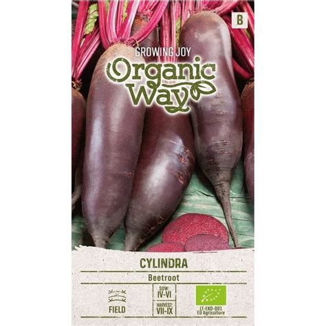 Organic Way Betterave Rouge Cylindra Des Graines Graines De Légumes