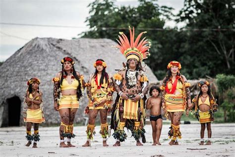 Operação Amazônia Nativa Noticias