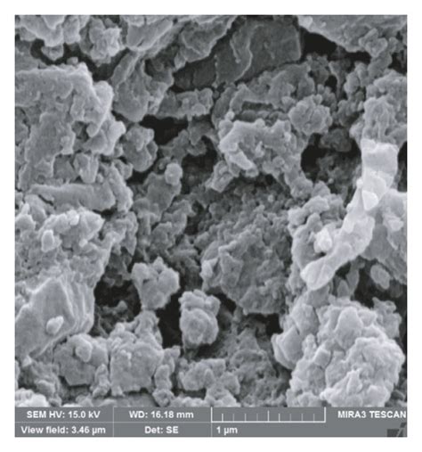 Sem Image Of Chitosan Spme Mip Fiber With The Magnification Of 600kx