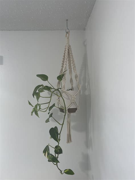 Macrame Hanging Planter Macrame Plant Hanging Indoor Plant - Etsy