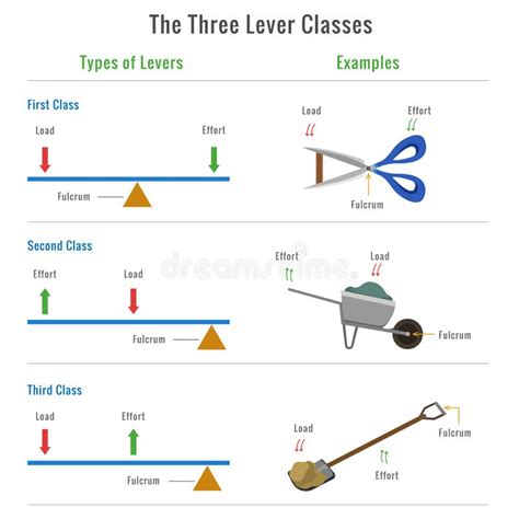 Different Types of Levers with Examples Vector Illustration Stock ...