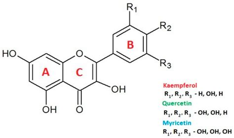 Ijms Free Full Text Antioxidant Properties Of Selected Flavonoids In Binary Mixtures