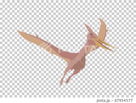 Dinosaur Pteranodon Stock Illustration Pixta