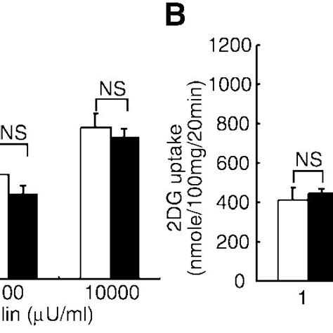 Insulin Induced Dg Uptake In Edl A And Soleus B Muscles Dg