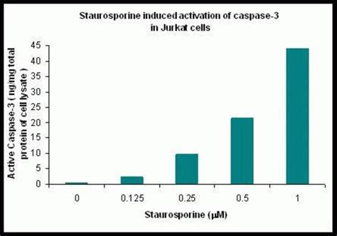 Invitrogen Caspase 3 Cleaved Human ELISA Kit 96 Tests Immunoassay