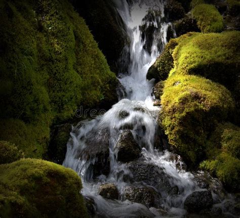 Waterfalls in the North Cascades Stock Image - Image of cascades, shadow: 143524719