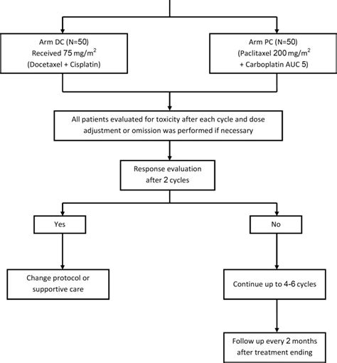 Clinical Trial Flow Chart Template