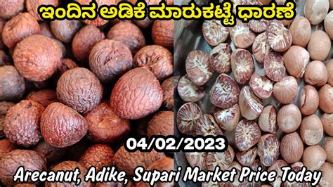 Areca Nut Wholesale Market Price In Karnataka Fayazarecanut YouTube