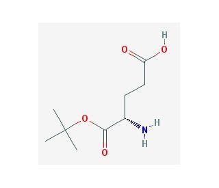 L Glutamic Acid Alpha Tert Butyl Ester CAS 45120 30 7 SCBT Santa