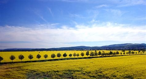Landscape Cultural Field - Free photo on Pixabay - Pixabay