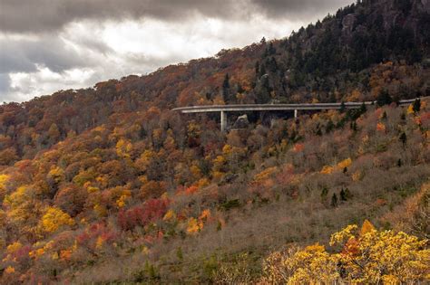 Cambio de tonos de hojas y follaje el Otoño en Carolina del Norte