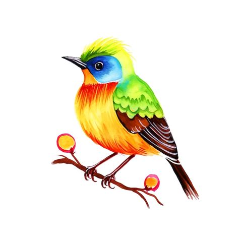Wunderschöne Vogel Aquarell Illustration Premium Ki Generierter Vektor