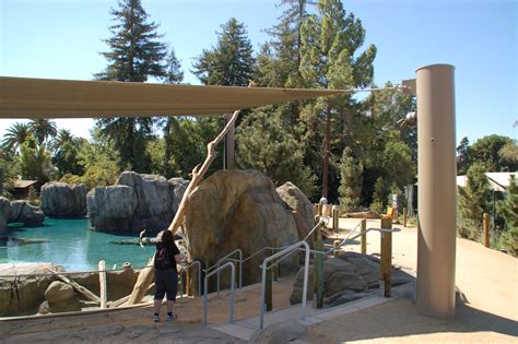 Fresno Chaffee Zoo Sea Lion Cove — Mla Engineering Consulting