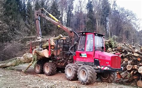 Bäume fällen und Holz ernten unsere Stärke