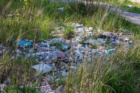 Basura en el bosque Contaminación ambiental La gente tira basura en