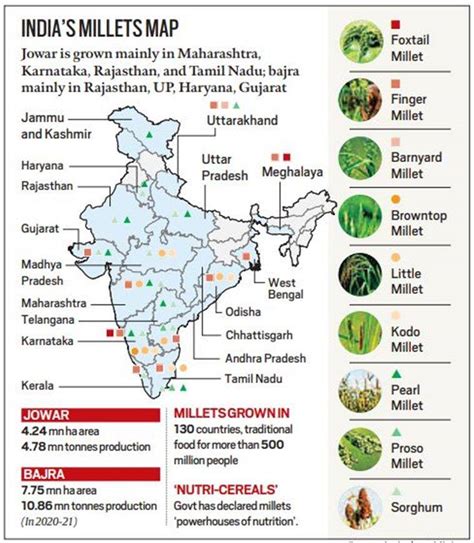 Indias Push For Millets Legacy Ias Academy