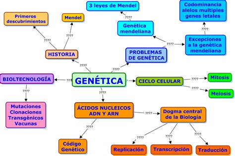 Mapa Conceptual De La Genetica Mendeliana Valos Images And Photos The