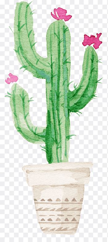 Green Tree Illustration Cactaceae Cactus In The Desert Euclidean