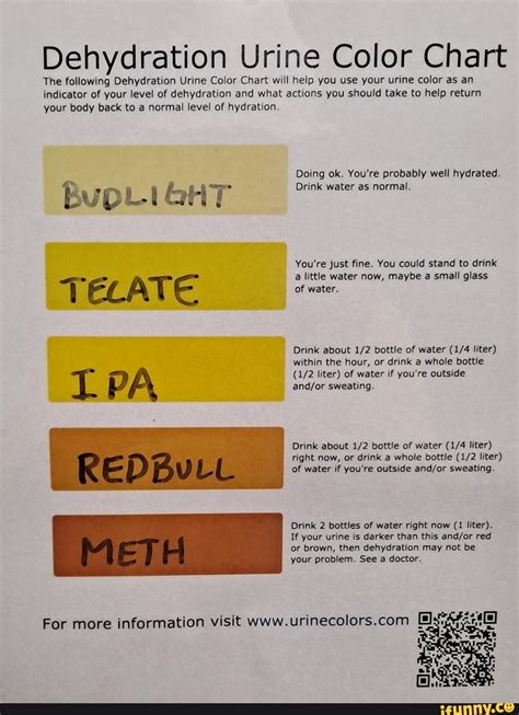 Dehydration Urine Color Chart The Following Dehydration Urine Color Chart Will Help You Use Your