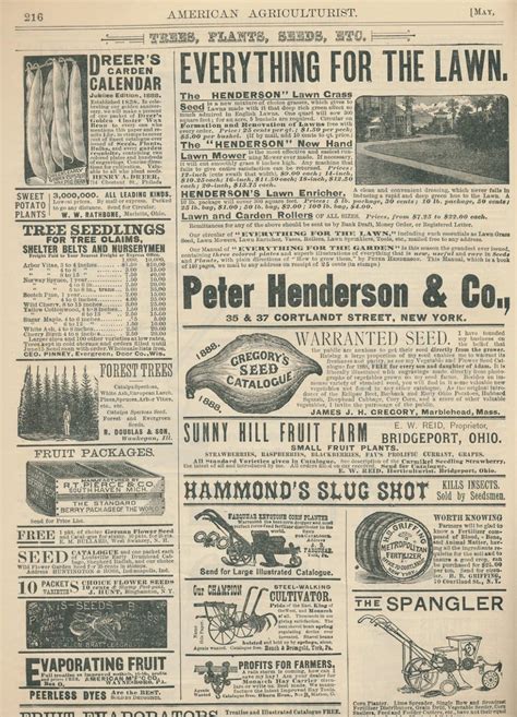 Clearly Vintage A Few More Pages From American Agriculturist May 1888 Vintage Newspaper Old