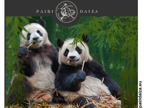 Une Journ E Pairi Daiza Voyages Peeters