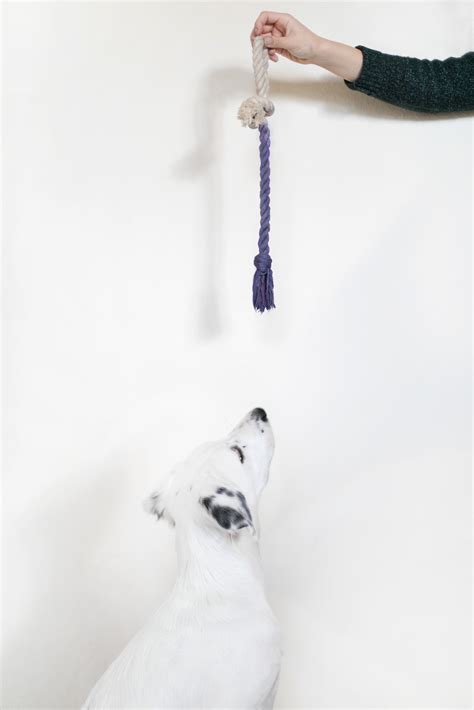 DIY All Natural Rope Toy for your Precious Pup | ctrl + curate