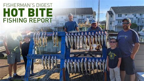 Walleye Fishing On Lake Erie Saginaw Bay More Hot Bite Fishing