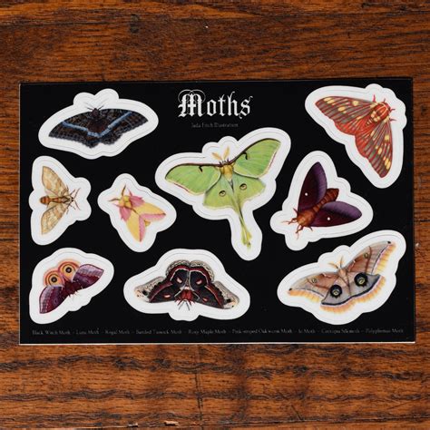 Moths Vinyl Sticker Sheet Etsy