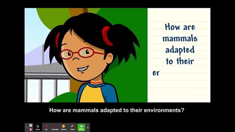 Mammals Brainpop Jr Youtube