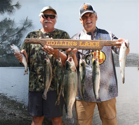 Collins Lake Big Trout Take Over At Collins Lake