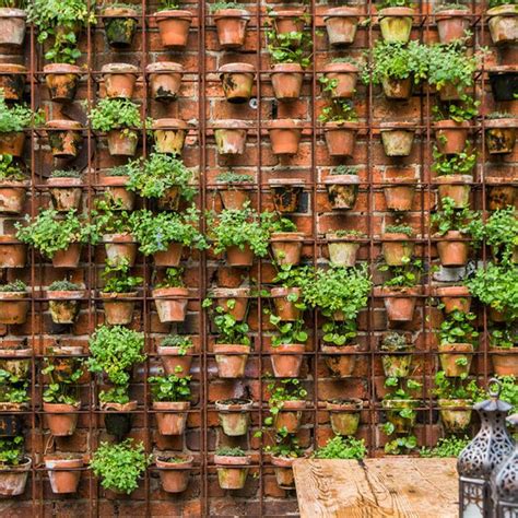 Hermosas Ideas De Cómo Colgar Tus Flores Y Plantas En La Pared