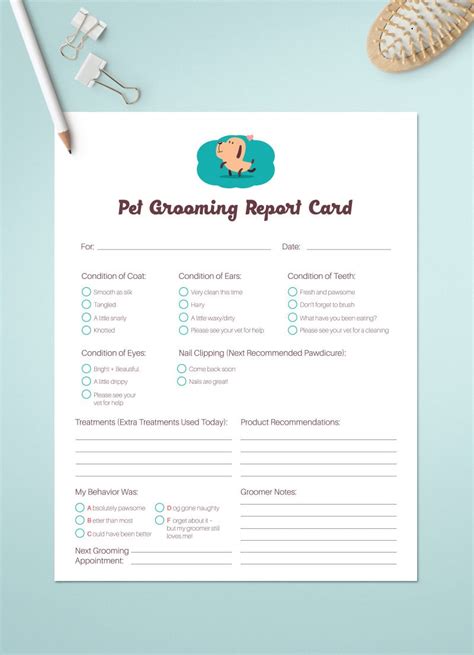 Whimsical Pet Grooming Report Card Pack Pet Groomers Pet Business