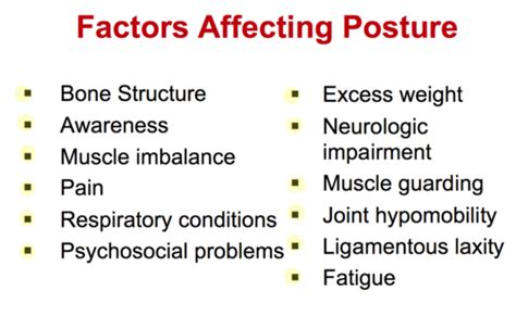 1 Posture Analysis Flashcards Quizlet