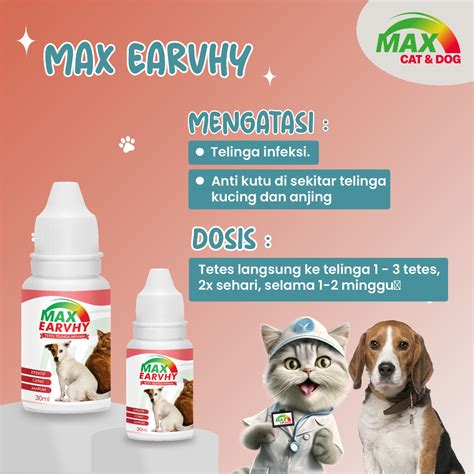 Jual Obat Tetes Infeski Telinga Anti Kutu Kucing Anjing Kelinci KS