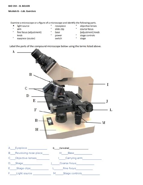 BIO 210 Lab 2 Exercise Answers BIO 210 D BELSER Module B Lab