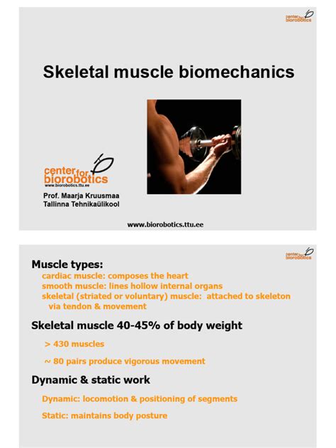 Muscle Biomechanics 2 | PDF | Muscle Contraction | Skeletal Muscle