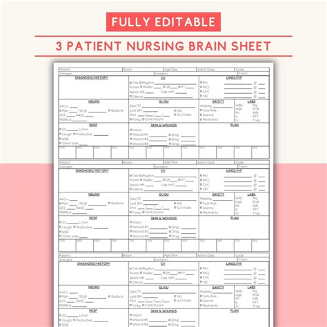 Editable Nursing Brain Sheet for Nurse Report Sheet for Nursing Cheat