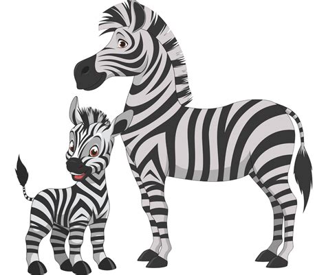 Desenho Zebra PNG