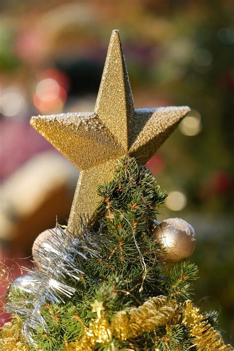 Ziemlich Badminton Abspielen Weihnachtsstern Christbaum Haut Platte